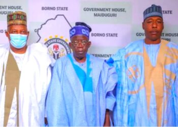 #2023 & Successorship: Where Did This Zulum Emerge From? Femi Adesina