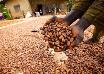 #US Removes Taxes on Exports From Nigeria: PBAT Urged To Implement Radical Policies To Boost Investments