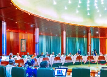 Borrowing Ended With Removal Of Subsidy – President Tinubu