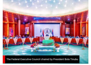 #LG Autonomy: FG, Governors Adjust Implementation to October 2024