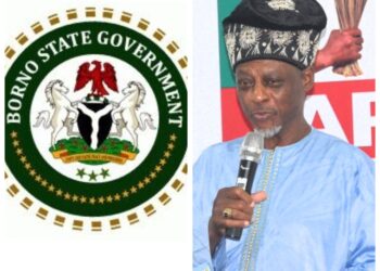 Prof. Adesegun Labinjo Offers Condolences and Prayers for Relief Amidst Devastating Floods In Borno