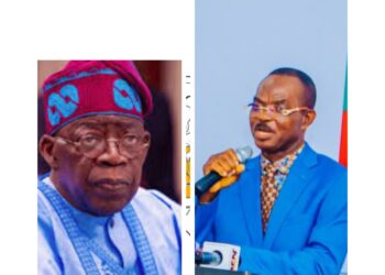 President Tinubu Securing A Brighter Future for All Nigerians – Chief Molokwu