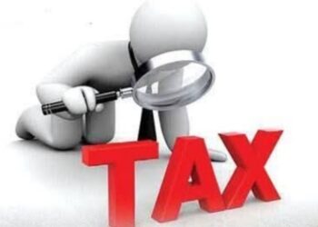 Nigerian Governors Endorse Tax Reform Bills, Propose New VAT Sharing Formula