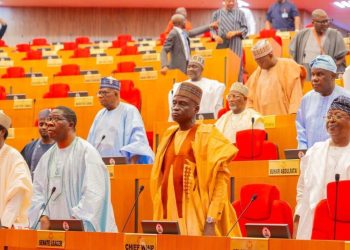 State Policing: Senate Sets 2026 Deadline for Constitutional Amendment